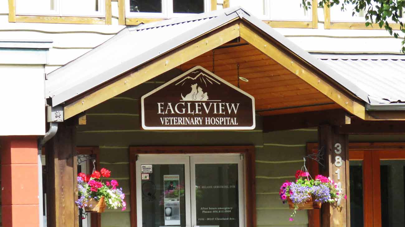 https://www.downtownsquamish.com/wp-content/uploads/2015/04/EagleViewVeterinaryHospital.jpg