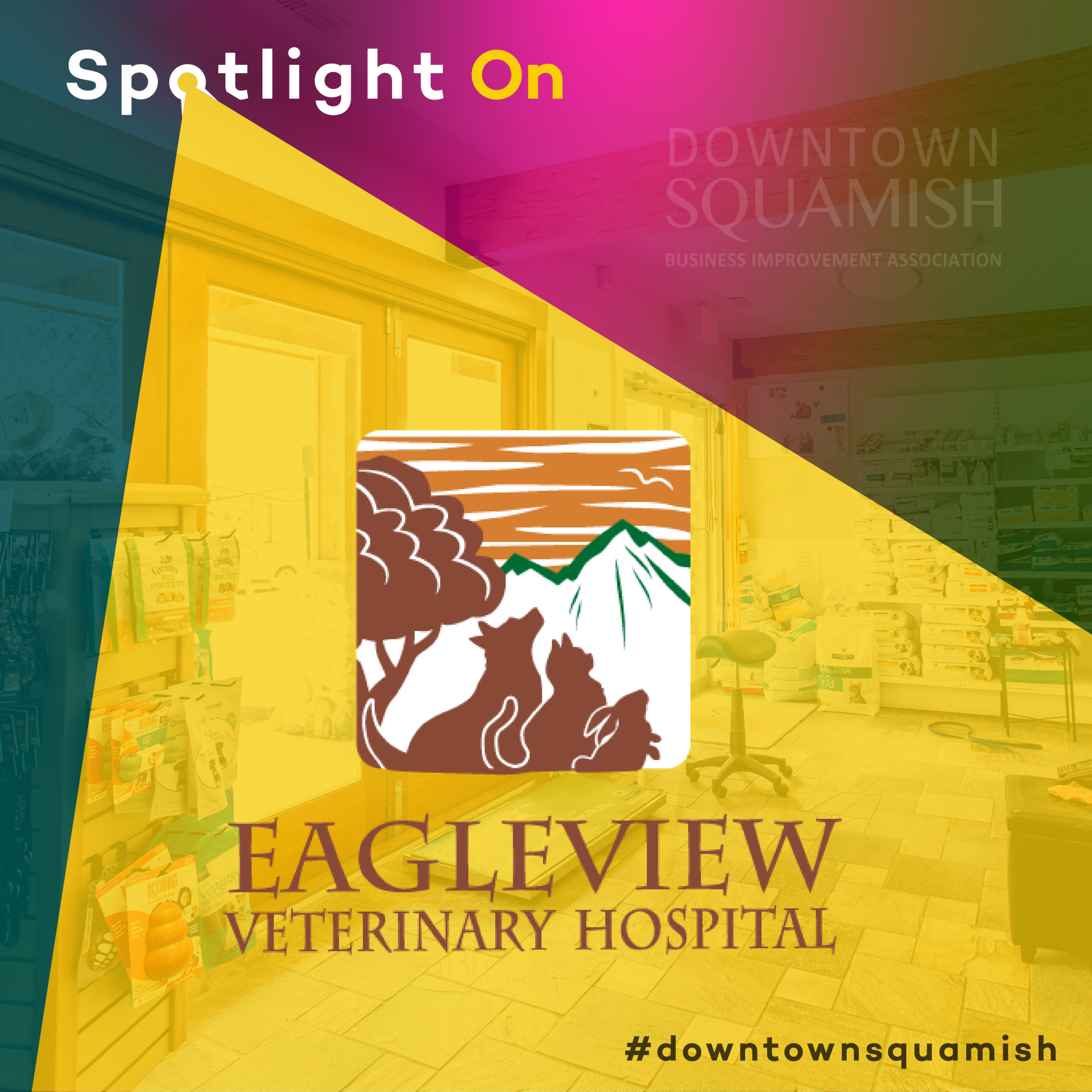 https://www.downtownsquamish.com/wp-content/uploads/2020/08/Spotlight_On_EAGLEVIEW-scaled.jpg