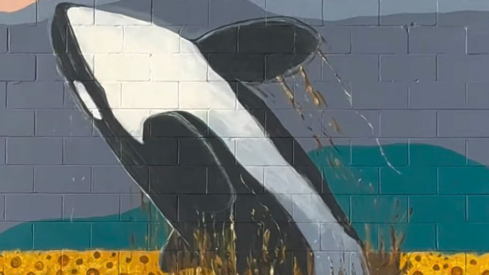 https://www.downtownsquamish.com/wp-content/uploads/2026/07/SarahKeller.jpg