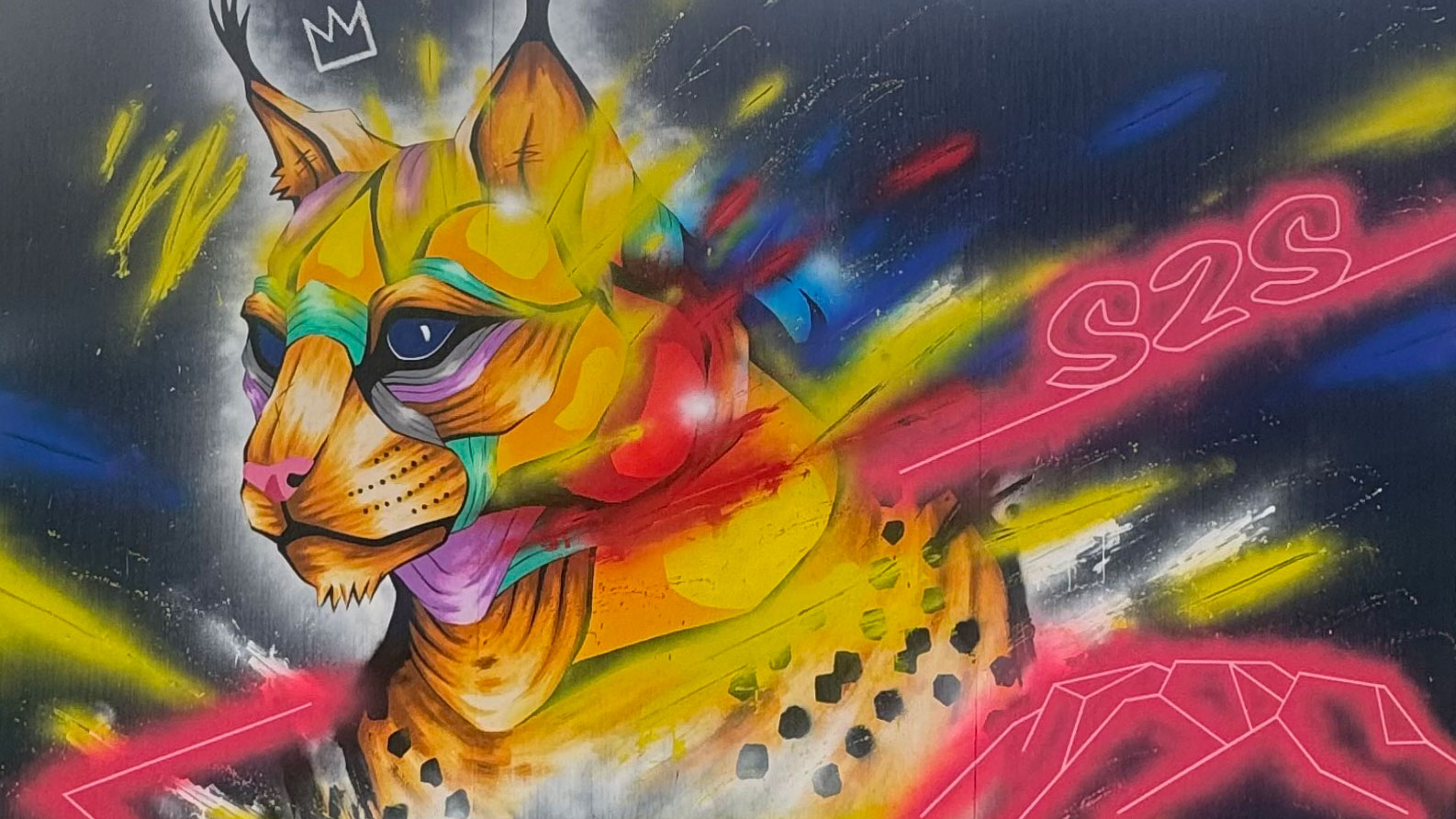 https://www.downtownsquamish.com/wp-content/uploads/2026/07/Taka-Sudo.jpg